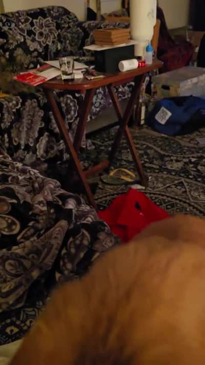 Don Diego de la Vega teaching da straw wrapper who's boss!