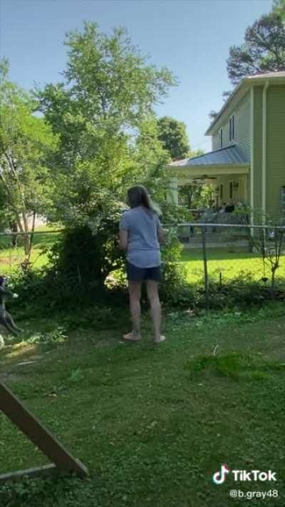 Woman trims the bushes in her lawn while her toxic neighbor tries to frustrate her