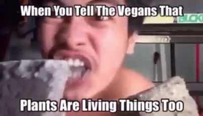 Upvote so Jake can see