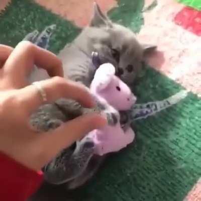 Don't touch my toy this is mine.