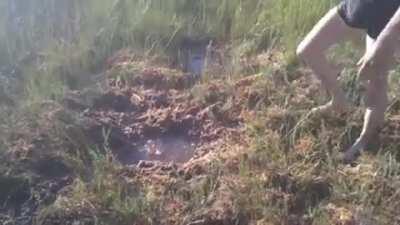 Russian sabotage squad enters Shrek's territory