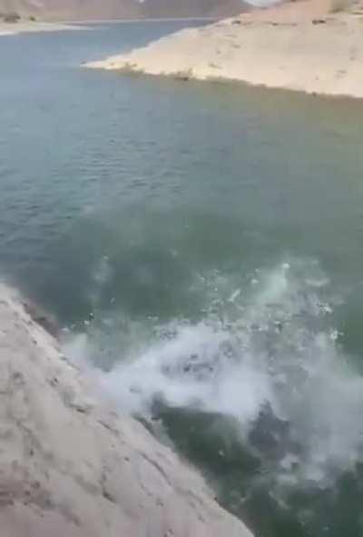HMC while i send a tsunami to algiria