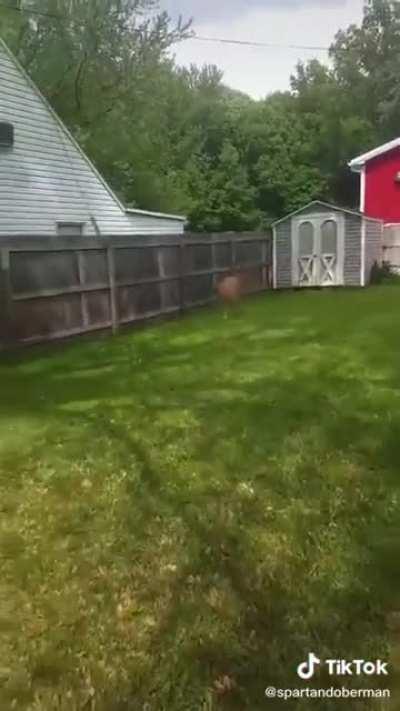 Just trying to help her escape