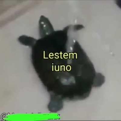 Admito que viciei nesse vídeo