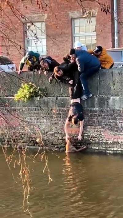 group of guys saving a lady's dog from the river