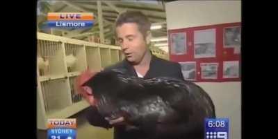 Big Black Cock attack!!