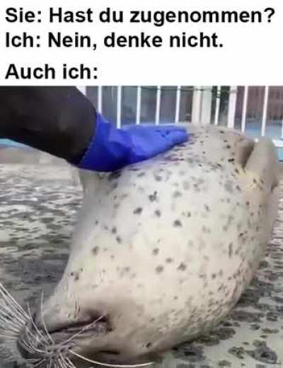 ich🦭iel