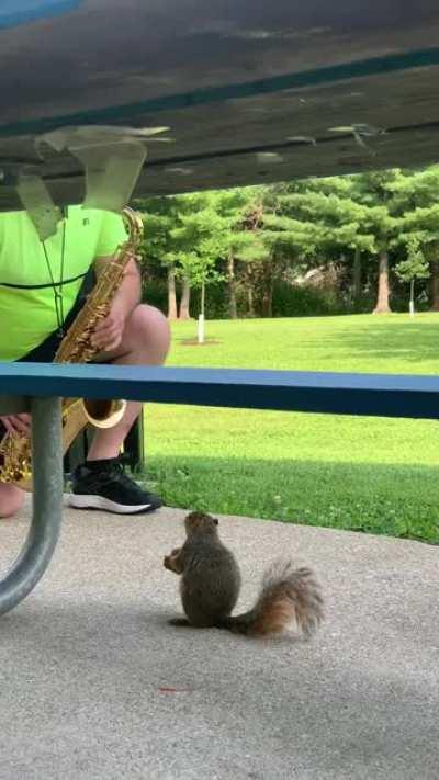 Check out this lil dude having dinner and a show in the park.