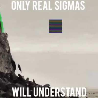 Only sigmas will understand