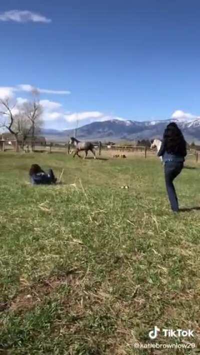 Two girls on horseback
