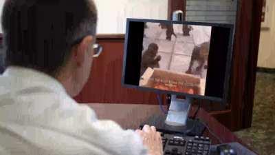 POV: this is you watching this video on friday