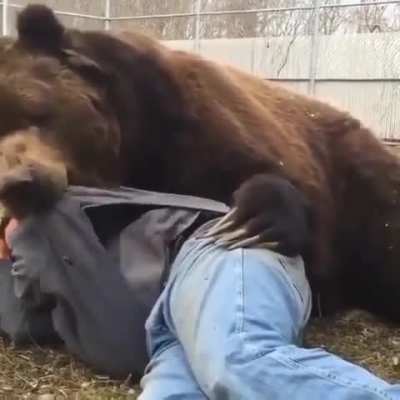 of a man AND of a bear