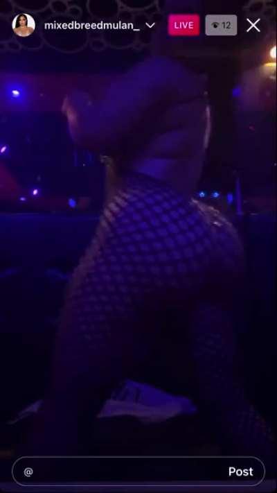 Mixedbreedmulan_ 😍