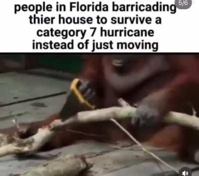 Why do people do this 