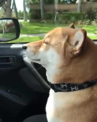 Me watching SNL and the charts tonight