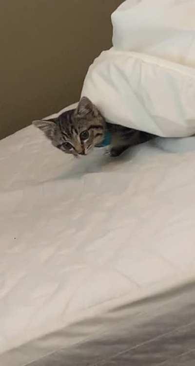 Couldn't find her for a while and then