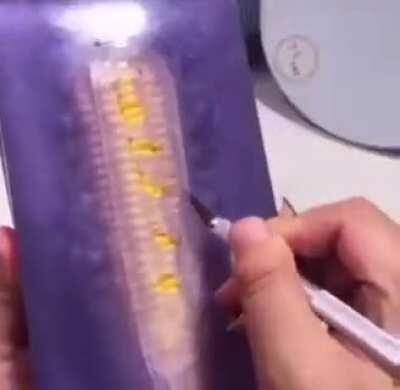 No-one could’ve guessed the outcome of this