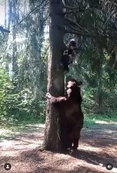 Да я и не знаю ничего особо