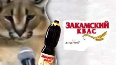 Флоппа мой президент