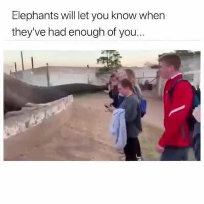 No fuckin pictures i said