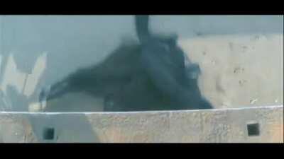 Horse Bonding Level: BOLLYWOOD