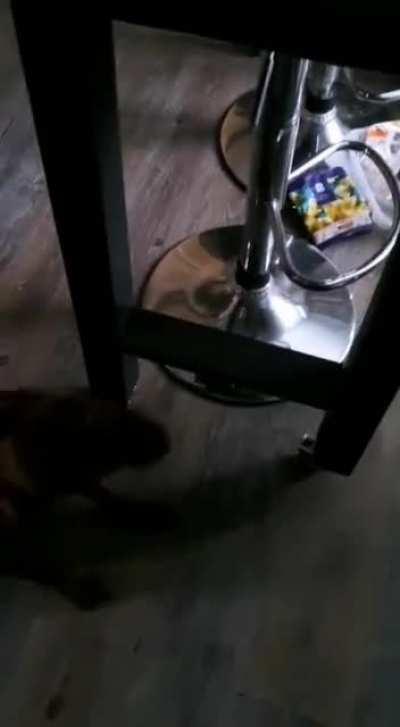 At least he's sorry..?