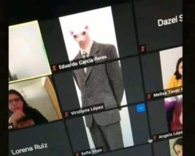 what a distinguished gentlrman