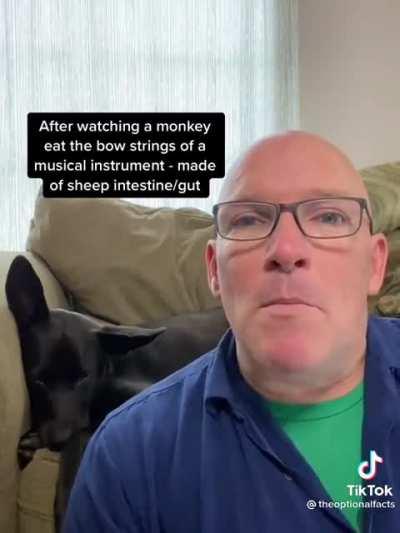 Al-Zahrawi “Father of modern surgery”