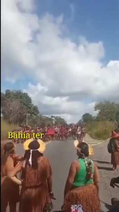 Vamos dançar, balançar o caximbó, trazer o Bolsonaro amarrado no cipó