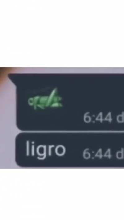 Primer video gracioso pal churro y el redit