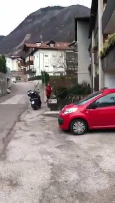 From that height it’s vegetable for sure could be the latter. D or V?