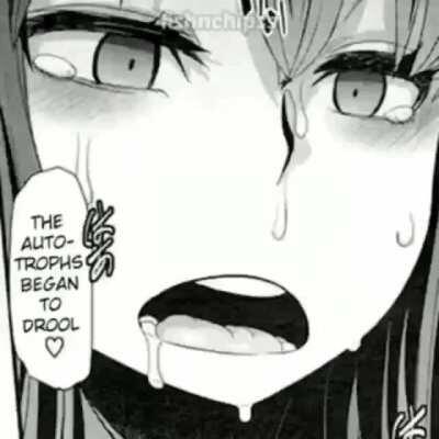 im jamming and jacking