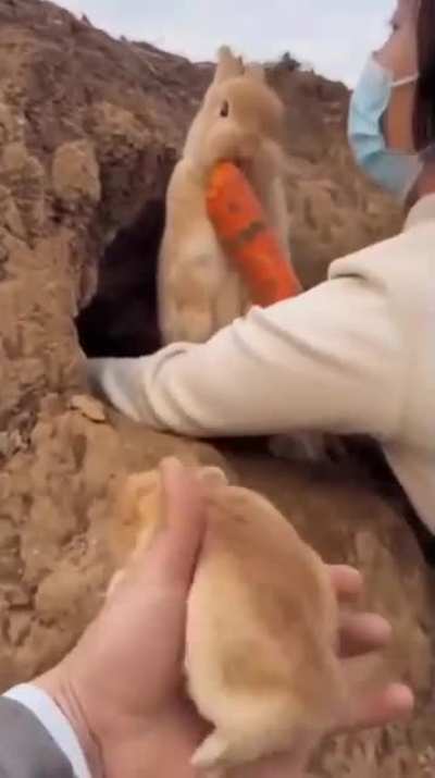 Mother wunk is deaf to all but the rattle of silver spoons