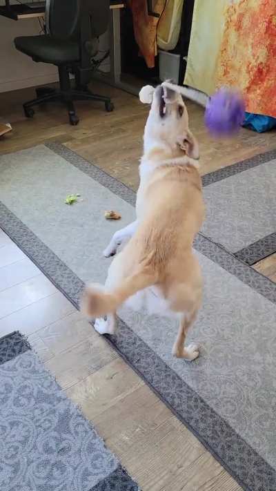 HMK while I learn to throw poi