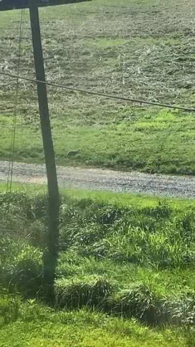 WCGW recording a Groundhog?