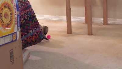 That backwards shimmy-shimmy-shimmy