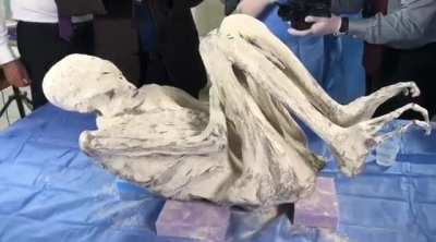 Jois is a tridactyl measuring 5 feet 11 inches (180 cm), discovered in November 2024.