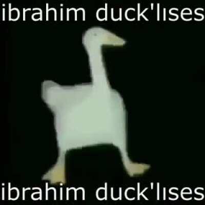 bu bir meme değil, komik ördek videosu.