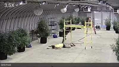 When you’re too high.