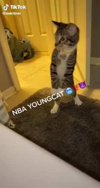 one paw on the strap 💯 🔫 ⛽️ 😤 🩸