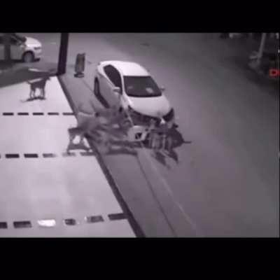 It would be hard to explain this to insurance companies