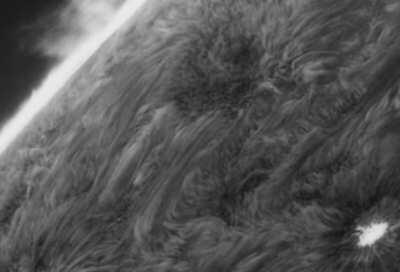 Sun active region - Nov. 24 2020