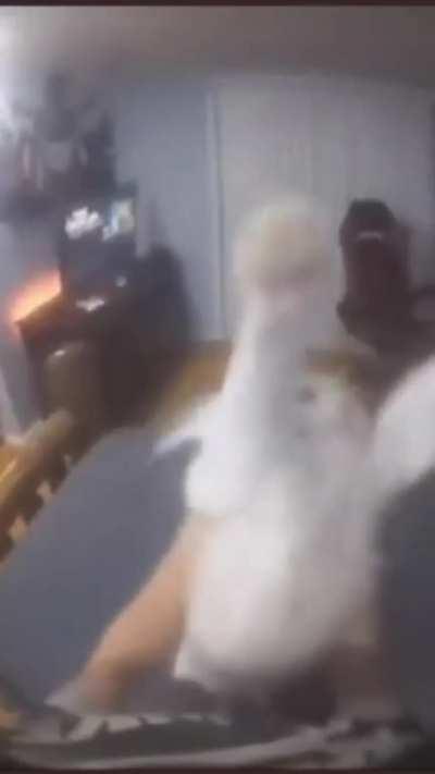 Happy Moment When Get Unbanned VRC