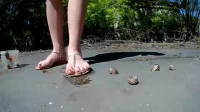 Crushing snails