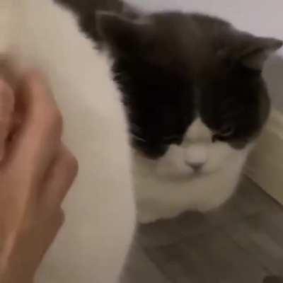 it's all resentment and jealousy