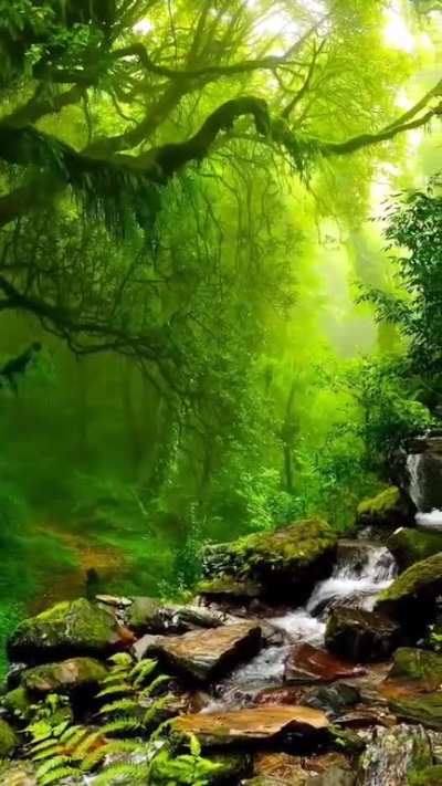 instagram reels, beautiful