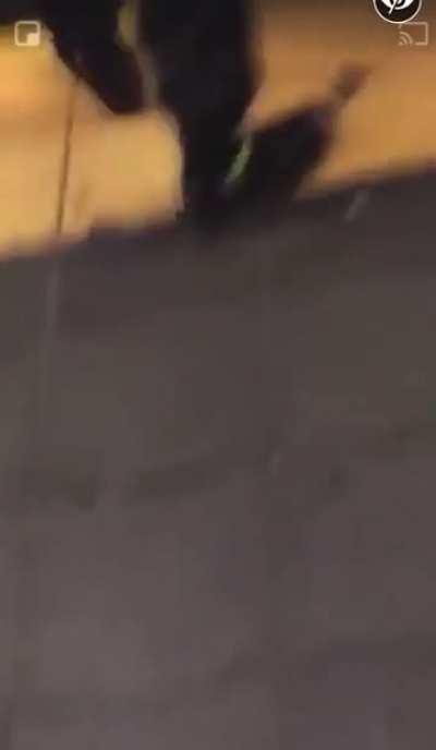 Man kicks rat in the subway