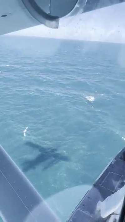 Took a seaplane to Dry Tortugas NP today. On the way back our pilot spotted a capsized boat with 5 people on it. Our 40 minute flight turned into 2 hours while we circled them and radioed the Coast Guard