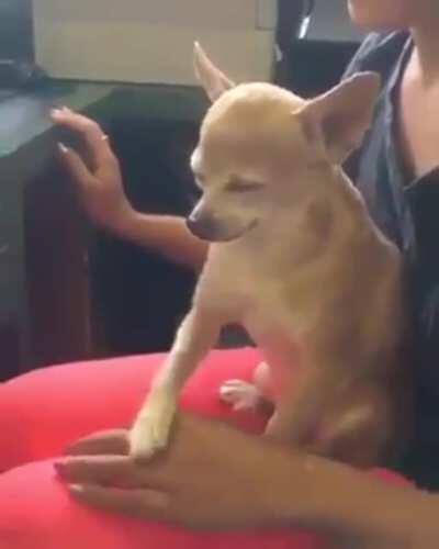 Aw yiss, gimme the good scratches