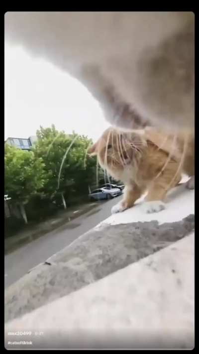 Logged into TikTok for the first time in two months